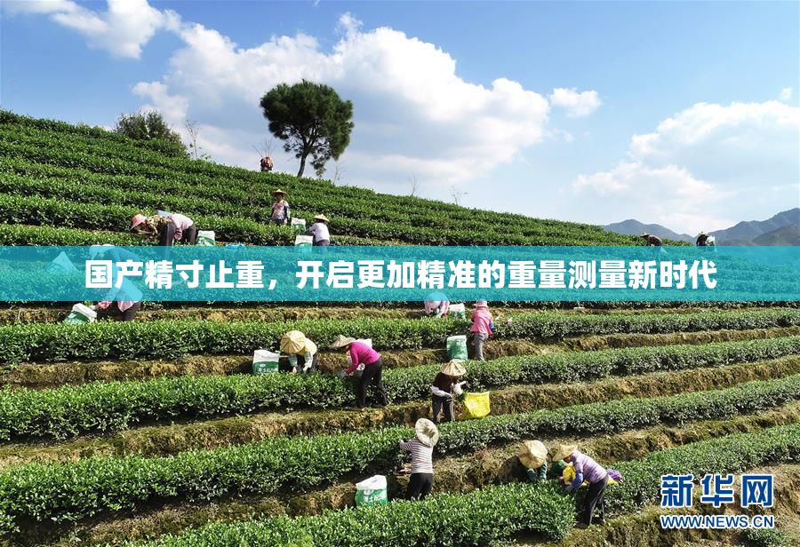国产精寸止重，开启更加精准的重量测量新时代