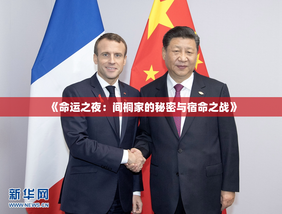 《命运之夜：间桐家的秘密与宿命之战》