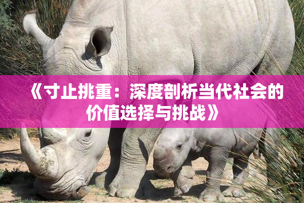 《寸止挑重：深度剖析当代社会的价值选择与挑战》