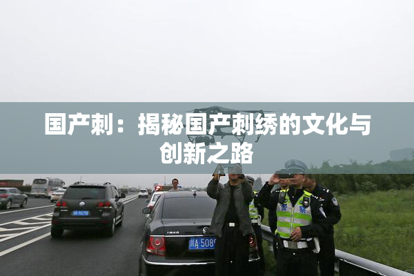国产刺：揭秘国产刺绣的文化与创新之路