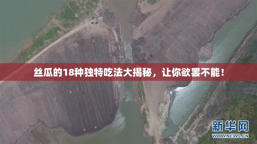 丝瓜的18种独特吃法大揭秘，让你欲罢不能！