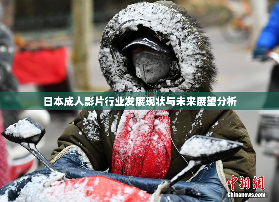 日本成人影片行业发展现状与未来展望分析