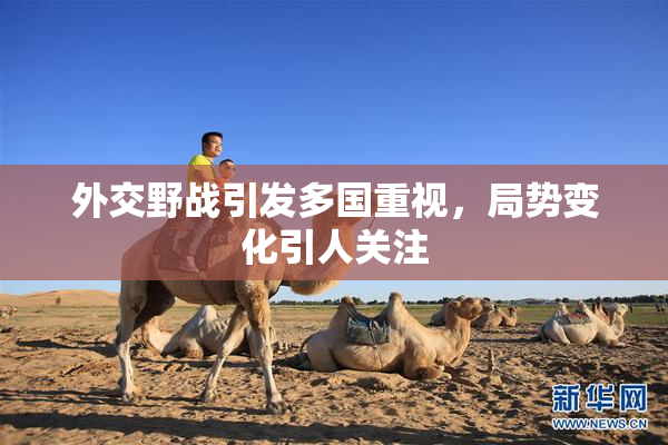 外交野战引发多国重视，局势变化引人关注