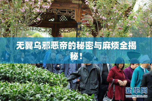 无翼乌邪恶帝的秘密与麻烦全揭秘！