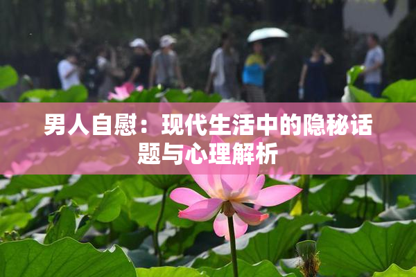 男人自慰：现代生活中的隐秘话题与心理解析