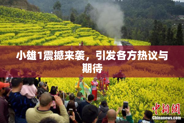 小雄1震撼来袭，引发各方热议与期待