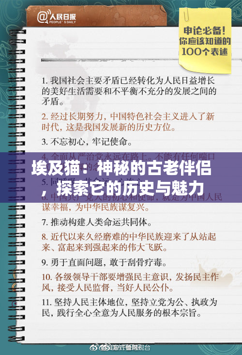 埃及猫：神秘的古老伴侣，探索它的历史与魅力