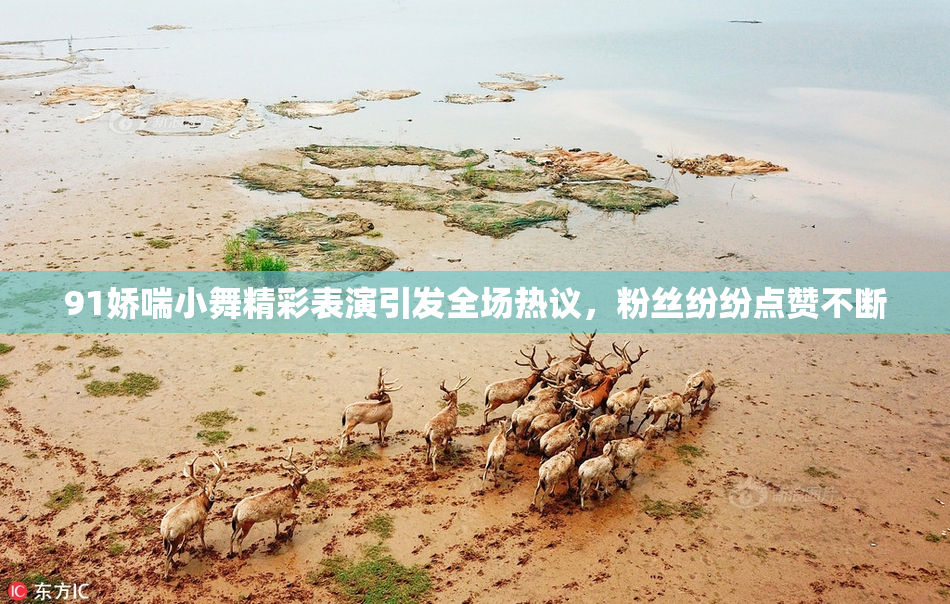 91娇喘小舞精彩表演引发全场热议，粉丝纷纷点赞不断