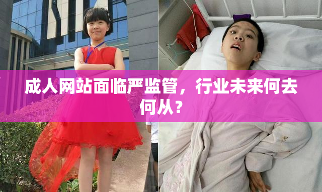 成人网站面临严监管，行业未来何去何从？