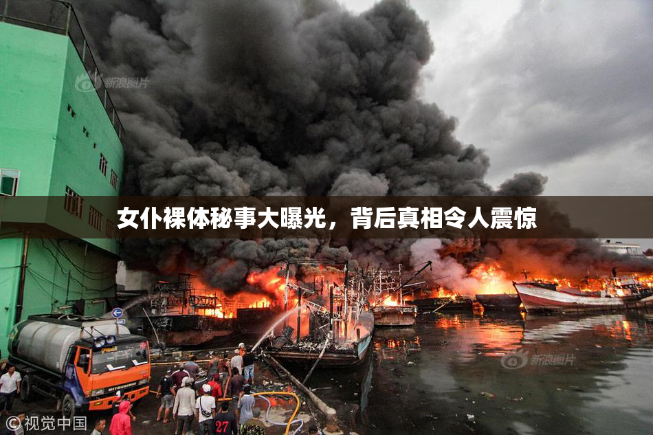 女仆裸体秘事大曝光，背后真相令人震惊