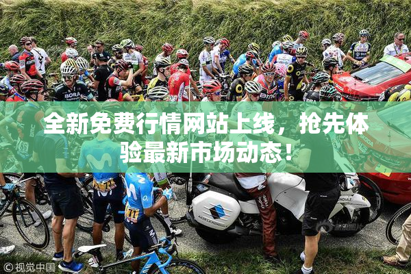 全新免费行情网站上线，抢先体验最新市场动态！