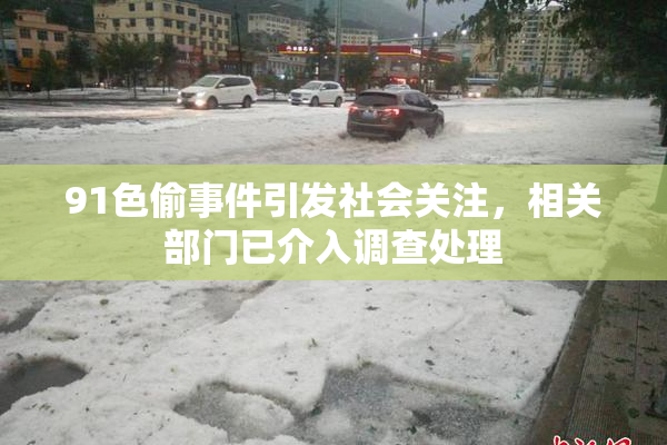 91色偷事件引发社会关注，相关部门已介入调查处理