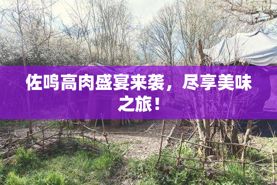 佐鸣高肉盛宴来袭，尽享美味之旅！