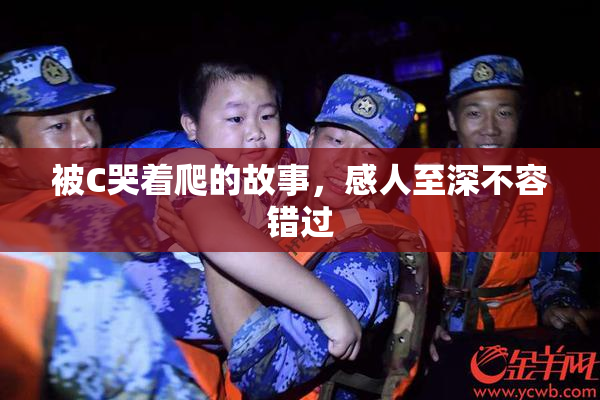 被C哭着爬的故事，感人至深不容错过