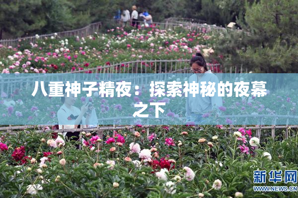 八重神子精夜：探索神秘的夜幕之下
