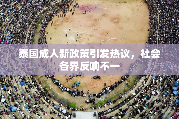 泰国成人新政策引发热议，社会各界反响不一