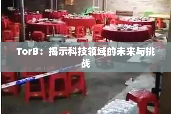 TorB：揭示科技领域的未来与挑战