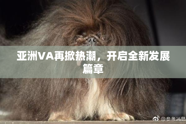 亚洲VA再掀热潮，开启全新发展篇章