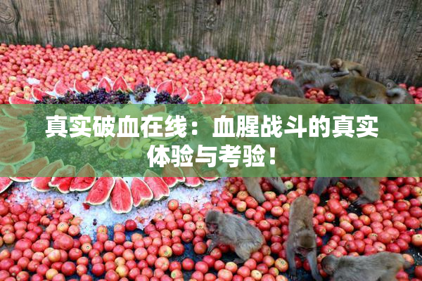 真实破血在线：血腥战斗的真实体验与考验！
