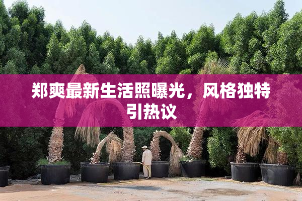 郑爽最新生活照曝光，风格独特引热议