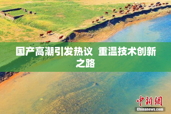 国产高潮引发热议  重温技术创新之路