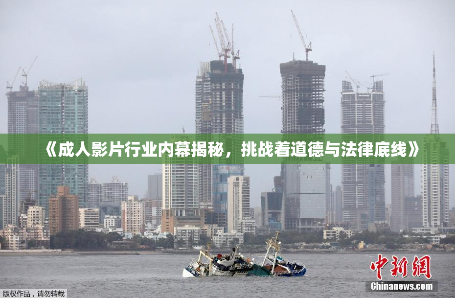 《成人影片行业内幕揭秘，挑战着道德与法律底线》