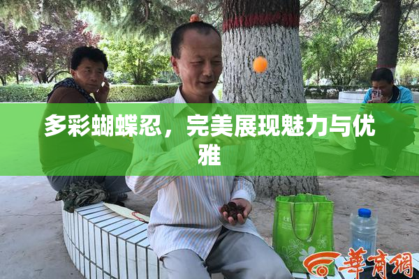 多彩蝴蝶忍，完美展现魅力与优雅