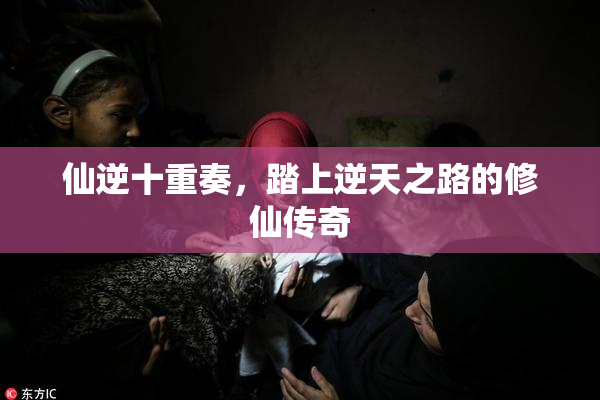 仙逆十重奏，踏上逆天之路的修仙传奇