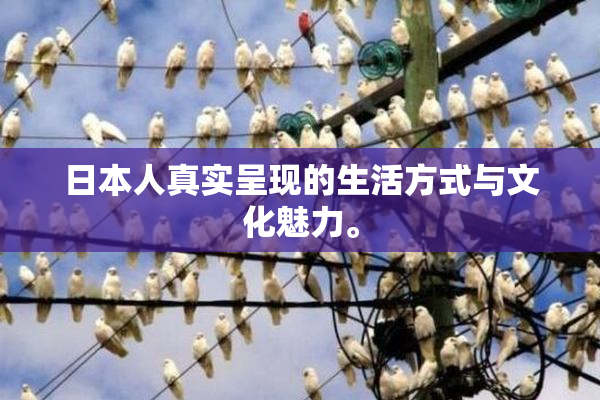 日本人真实呈现的生活方式与文化魅力。