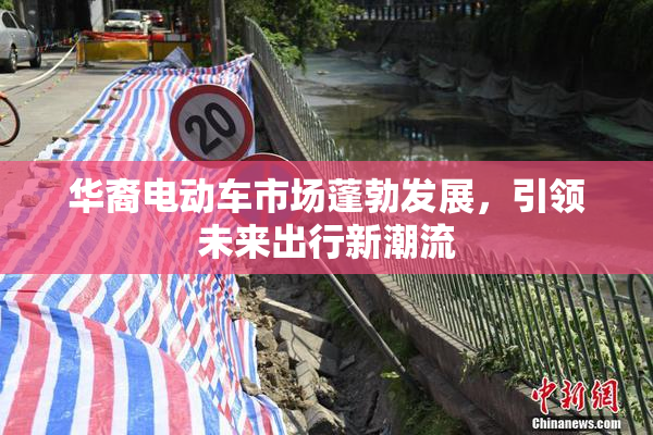 华裔电动车市场蓬勃发展，引领未来出行新潮流