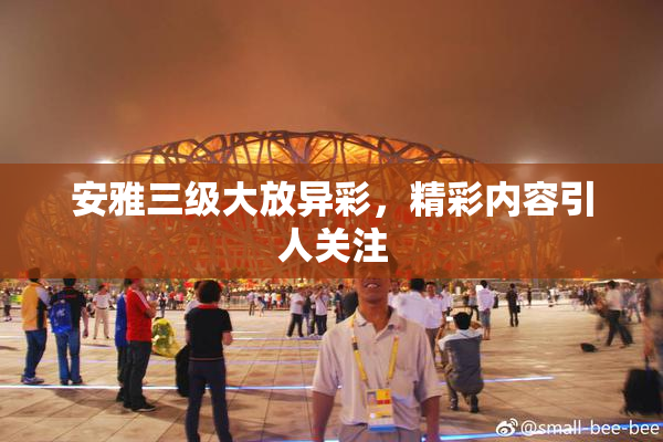 安雅三级大放异彩，精彩内容引人关注