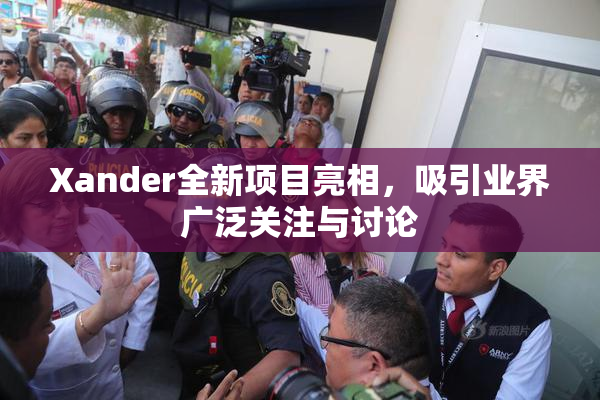 Xander全新项目亮相，吸引业界广泛关注与讨论