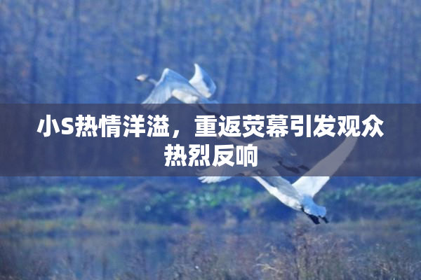 小S热情洋溢，重返荧幕引发观众热烈反响