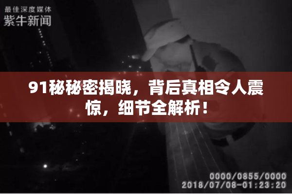 91秘秘密揭晓，背后真相令人震惊，细节全解析！
