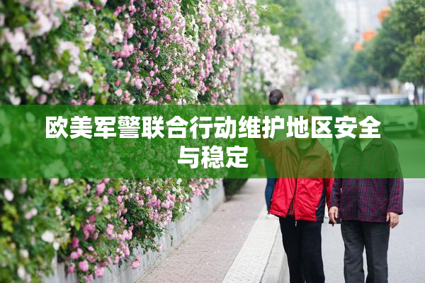 欧美军警联合行动维护地区安全与稳定