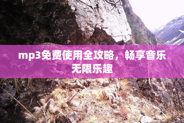 mp3免费使用全攻略，畅享音乐无限乐趣