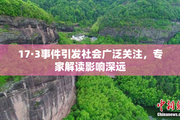 17·3事件引发社会广泛关注，专家解读影响深远