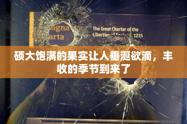 硕大饱满的果实让人垂涎欲滴，丰收的季节到来了