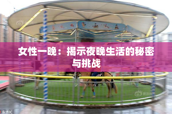 女性一晚：揭示夜晚生活的秘密与挑战