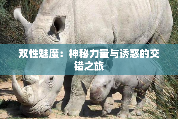 双性魅魔：神秘力量与诱惑的交错之旅