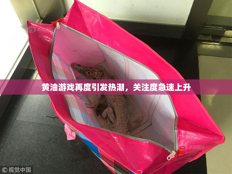 黄油游戏再度引发热潮，关注度急速上升