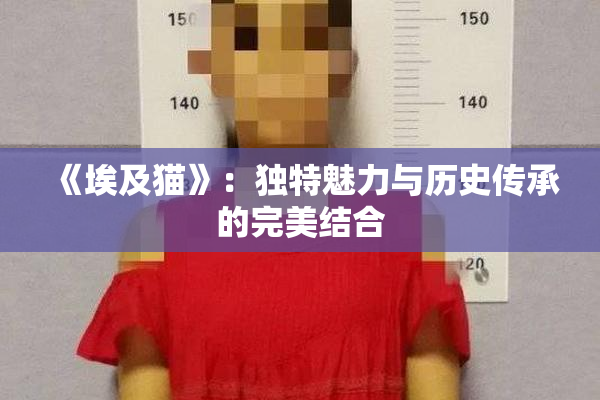 《埃及猫》：独特魅力与历史传承的完美结合