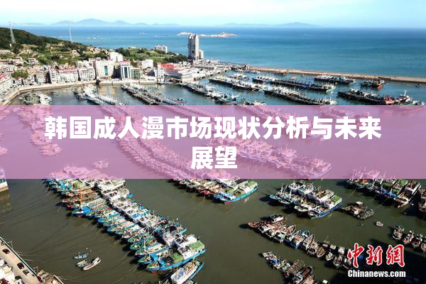 韩国成人漫市场现状分析与未来展望