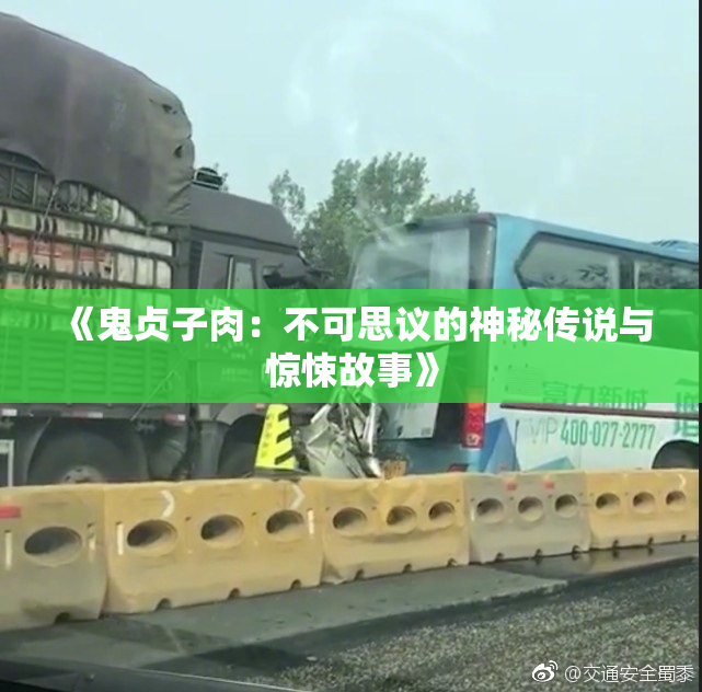 《鬼贞子肉：不可思议的神秘传说与惊悚故事》