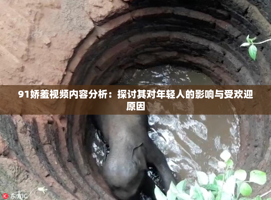 91娇羞视频内容分析：探讨其对年轻人的影响与受欢迎原因