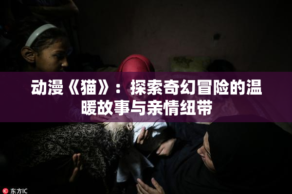 动漫《猫》：探索奇幻冒险的温暖故事与亲情纽带