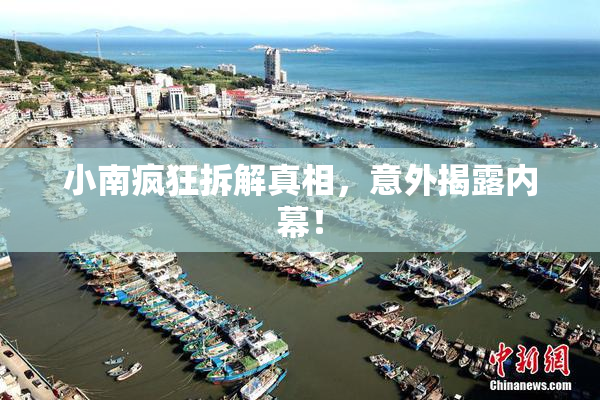 小南疯狂拆解真相，意外揭露内幕！