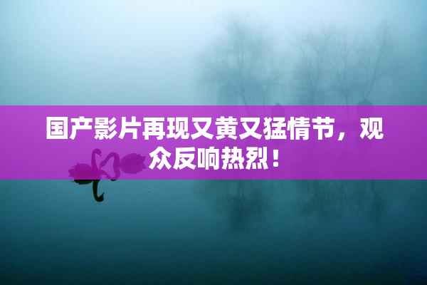 国产影片再现又黄又猛情节，观众反响热烈！