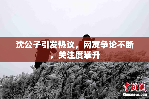 沈公子引发热议，网友争论不断，关注度攀升