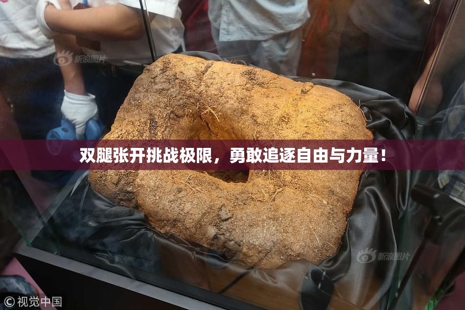双腿张开挑战极限，勇敢追逐自由与力量！